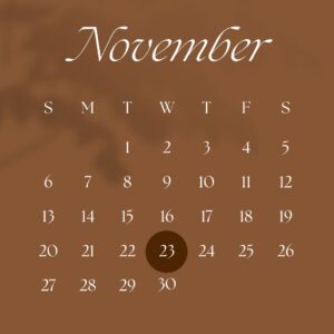 calendar highlighting 23rd November
